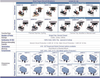  Wholesale 5-50A Dual Studs Short-stop Manual Reset Plastic Case Circuit Breaker
